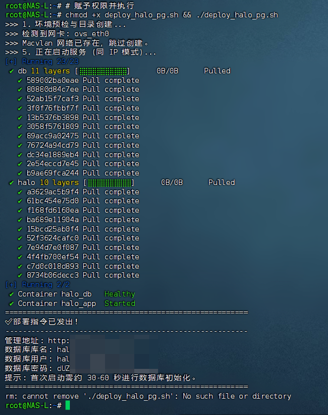 群晖NAS Docker环境Halo + PostgreSQL自动化部署脚本运行过程