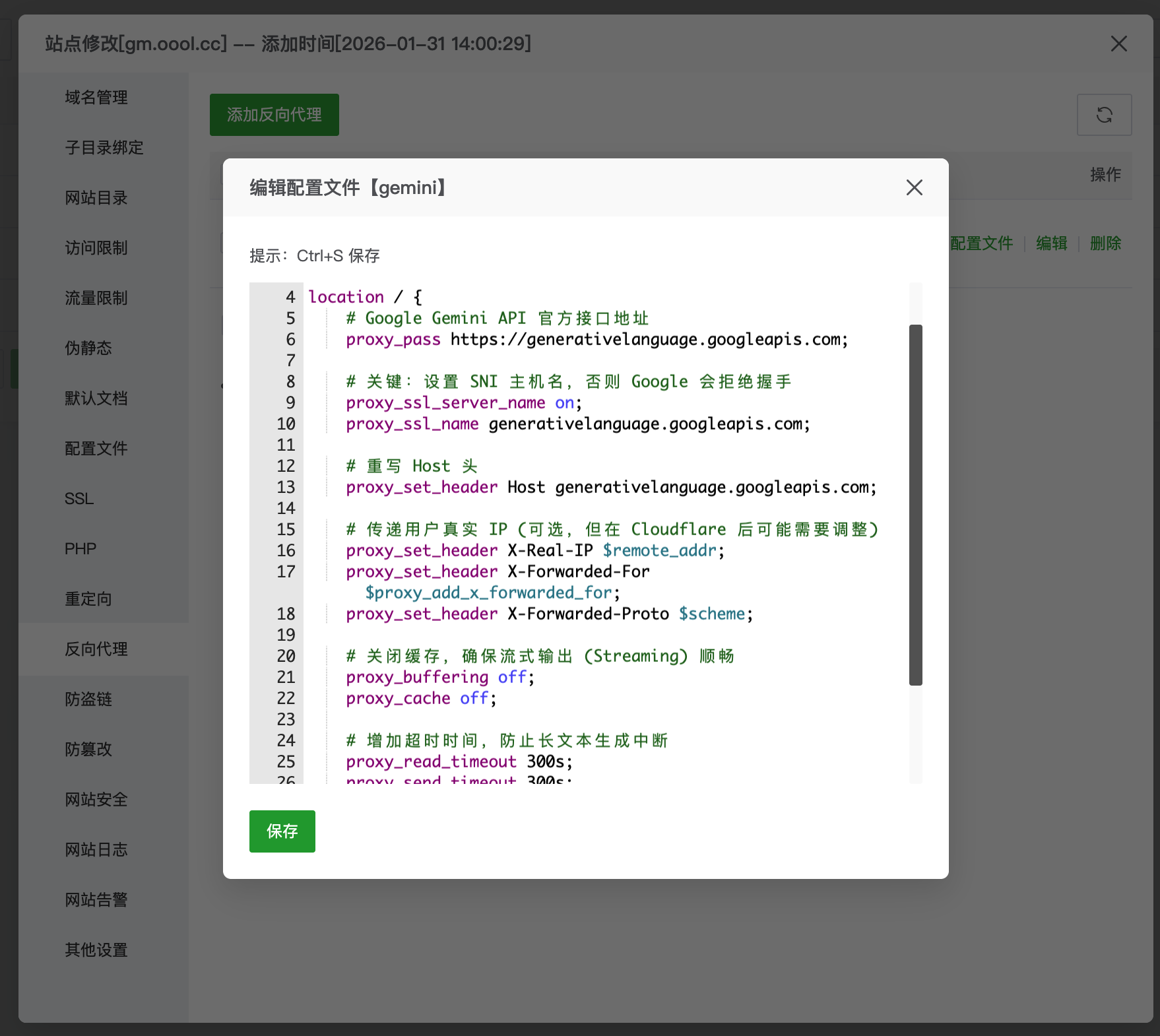 Chrome 深度集成 Gemini 与 VPS 私有化代理搭建全指南